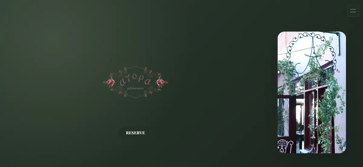 Agora website preview